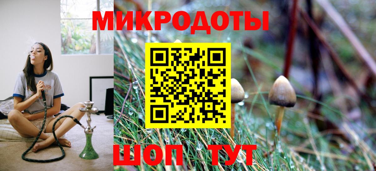 Псилоцибиновые грибы мицелий Камышлов