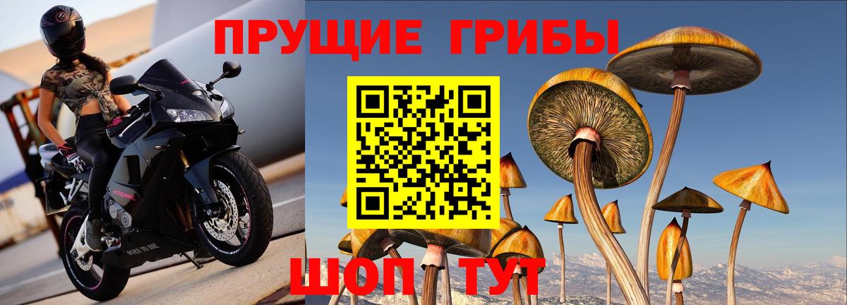 Камышлов  Галлюциногенные грибы Magic Shrooms  Вход с VPN 